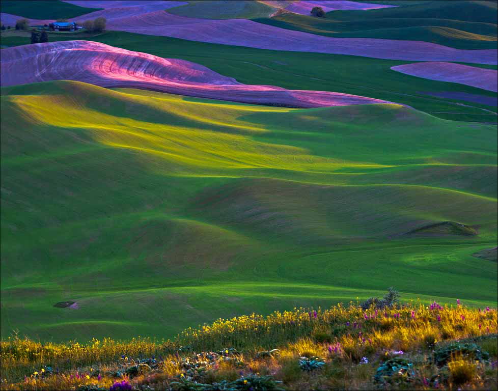 Afterglow at Steptoe Butte